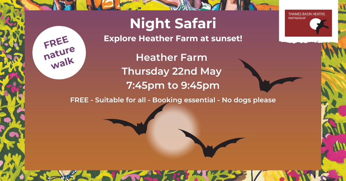 Pretty pink poster advertising a night walk at Heather Farm to explore nocturnal wildlife