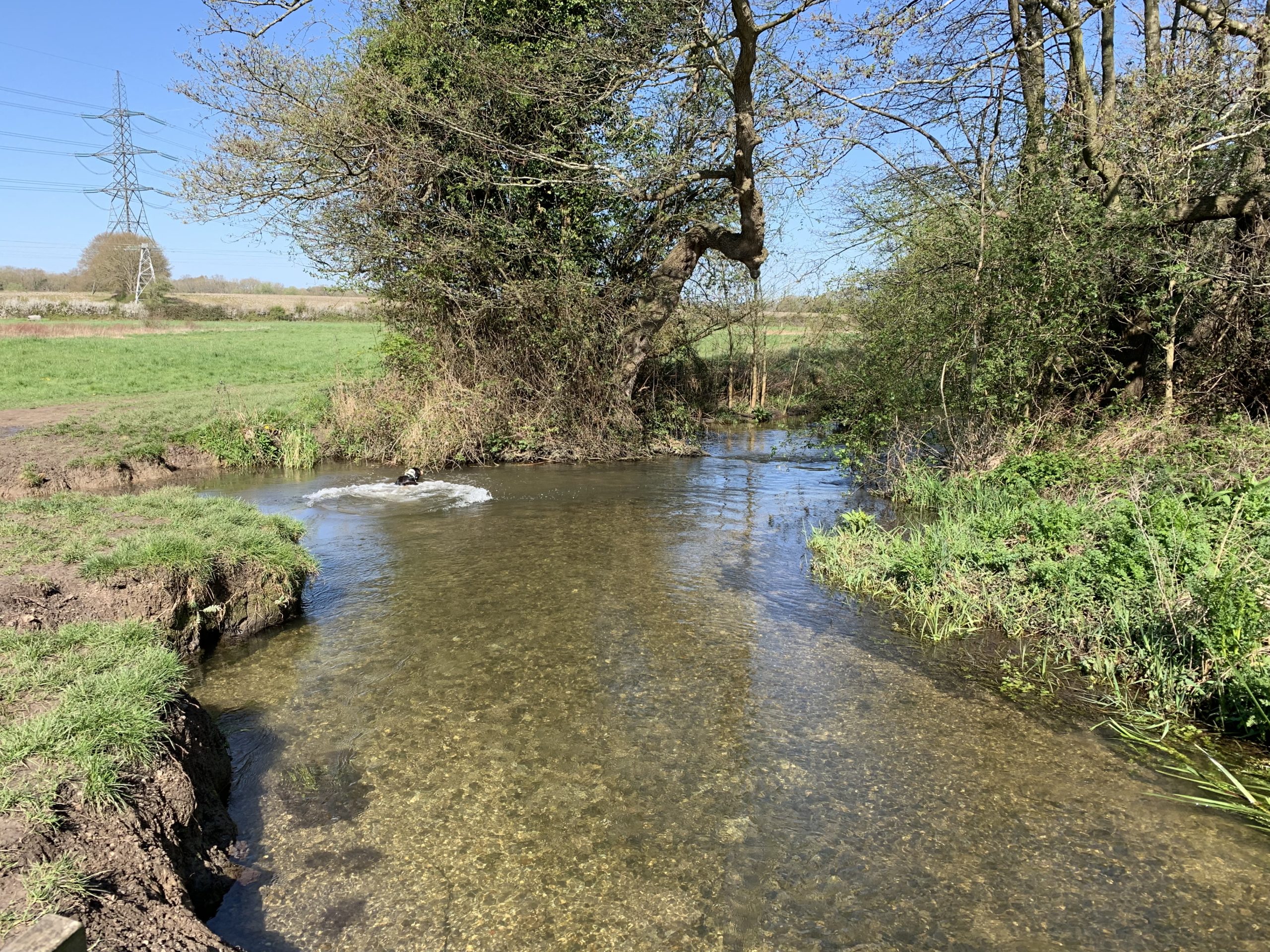 Photo of a shallow river flowing through an open grassland area