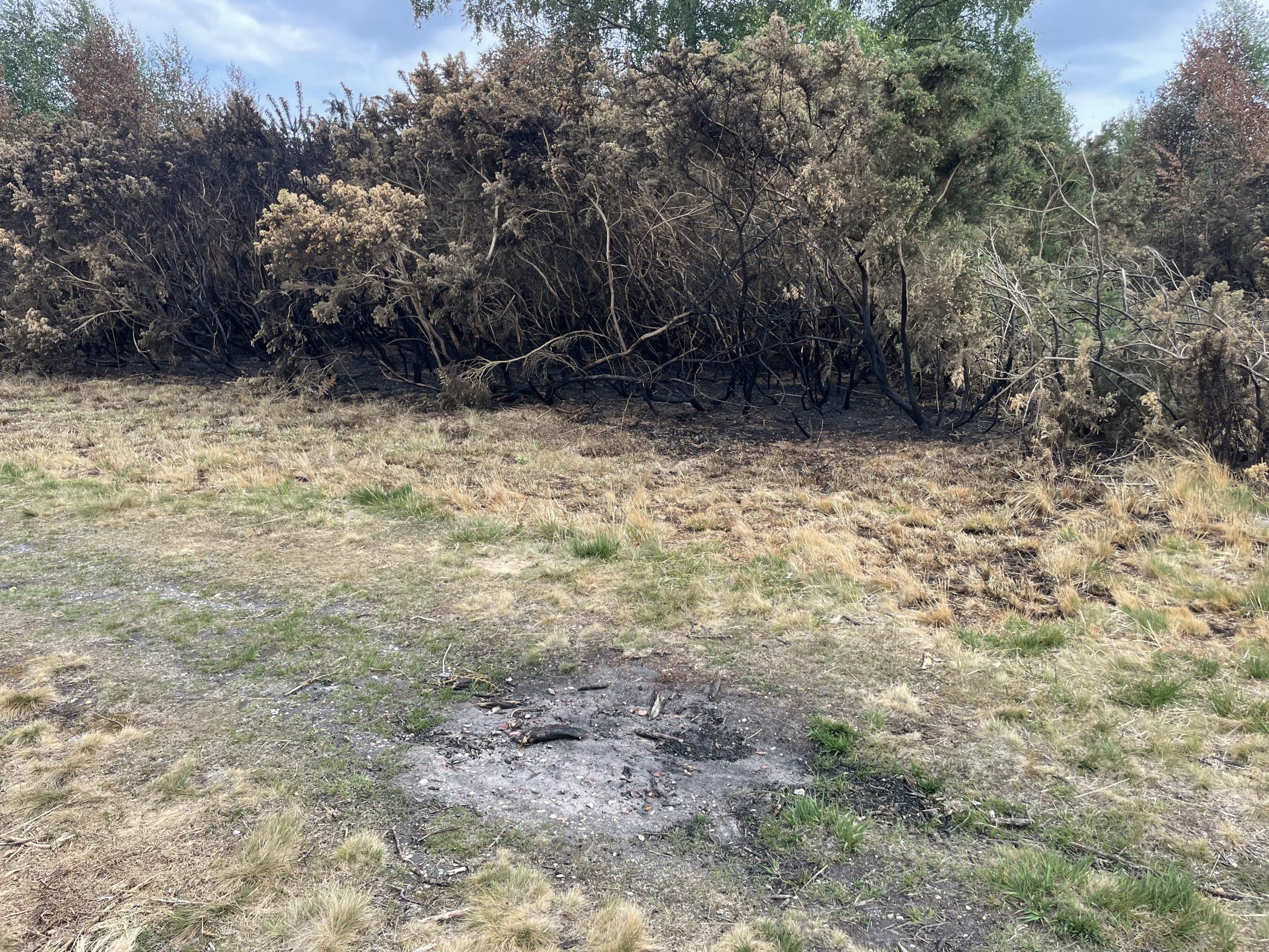 Photo of a blackened campfire area on open heath, no longer lit