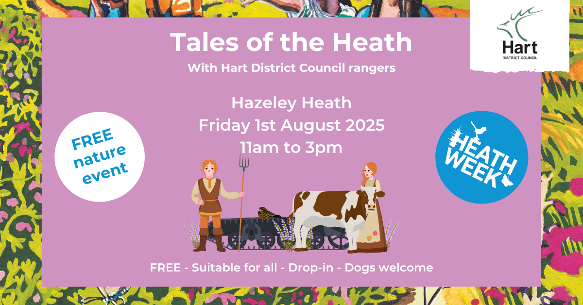 Pretty Pink poster advertising Heath Week event
