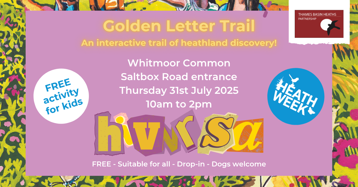 Pretty pink poster to advertise Heath Week event