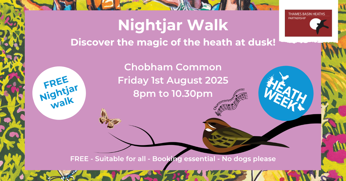 Pretty pink poster advertising Heath Week 