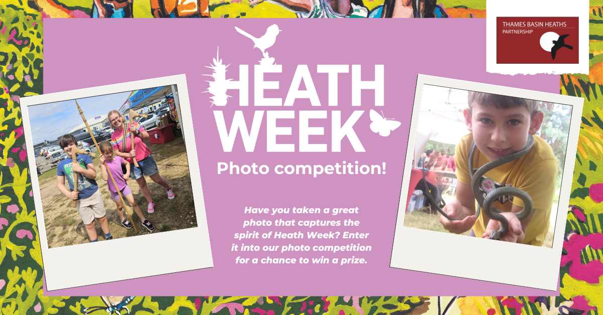 Pretty pink poster advertising the Heath Week photo competition