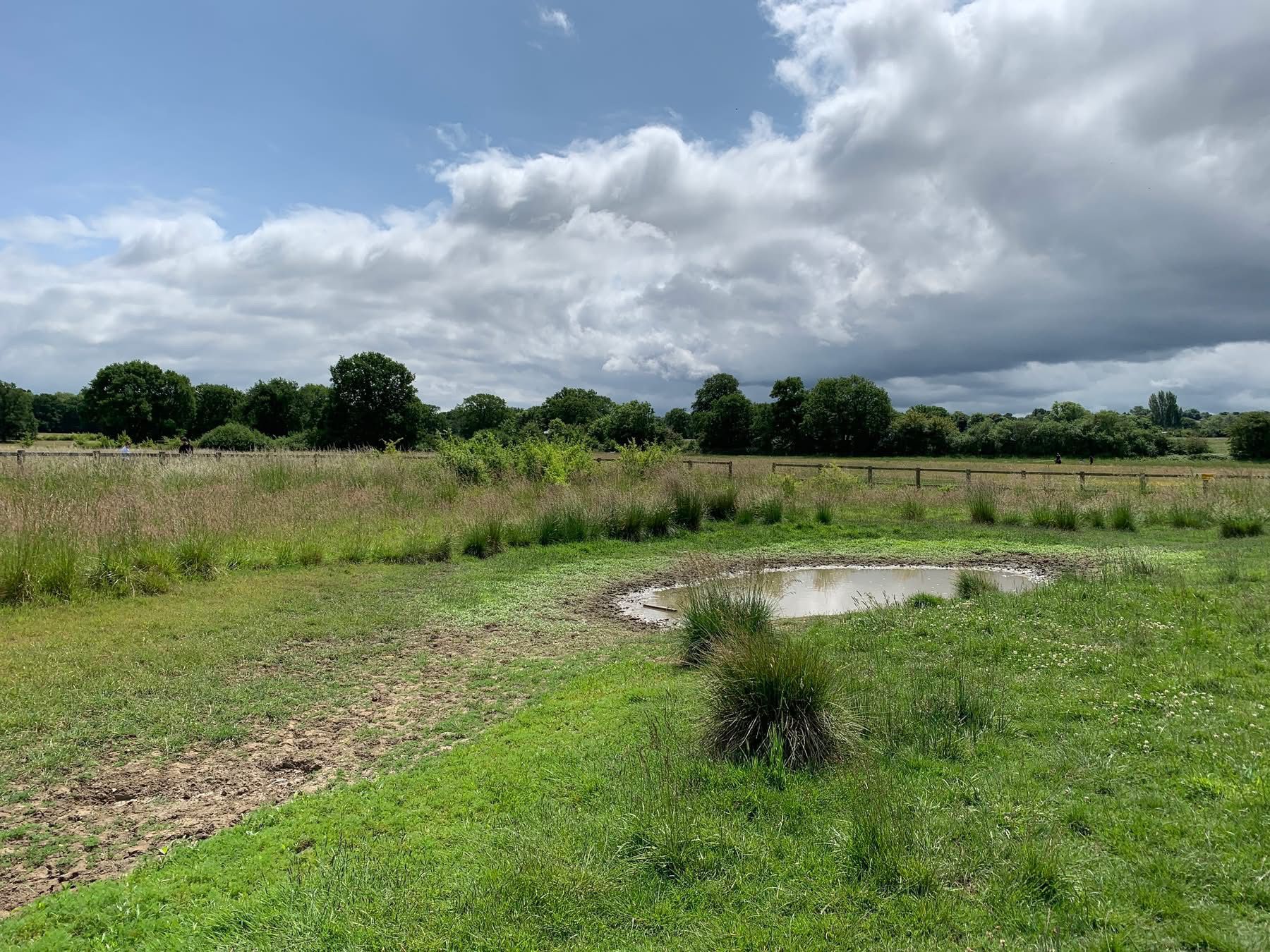 photo of a green open grass area with a round pond. Trees in the background. Blue sky and clouds. 