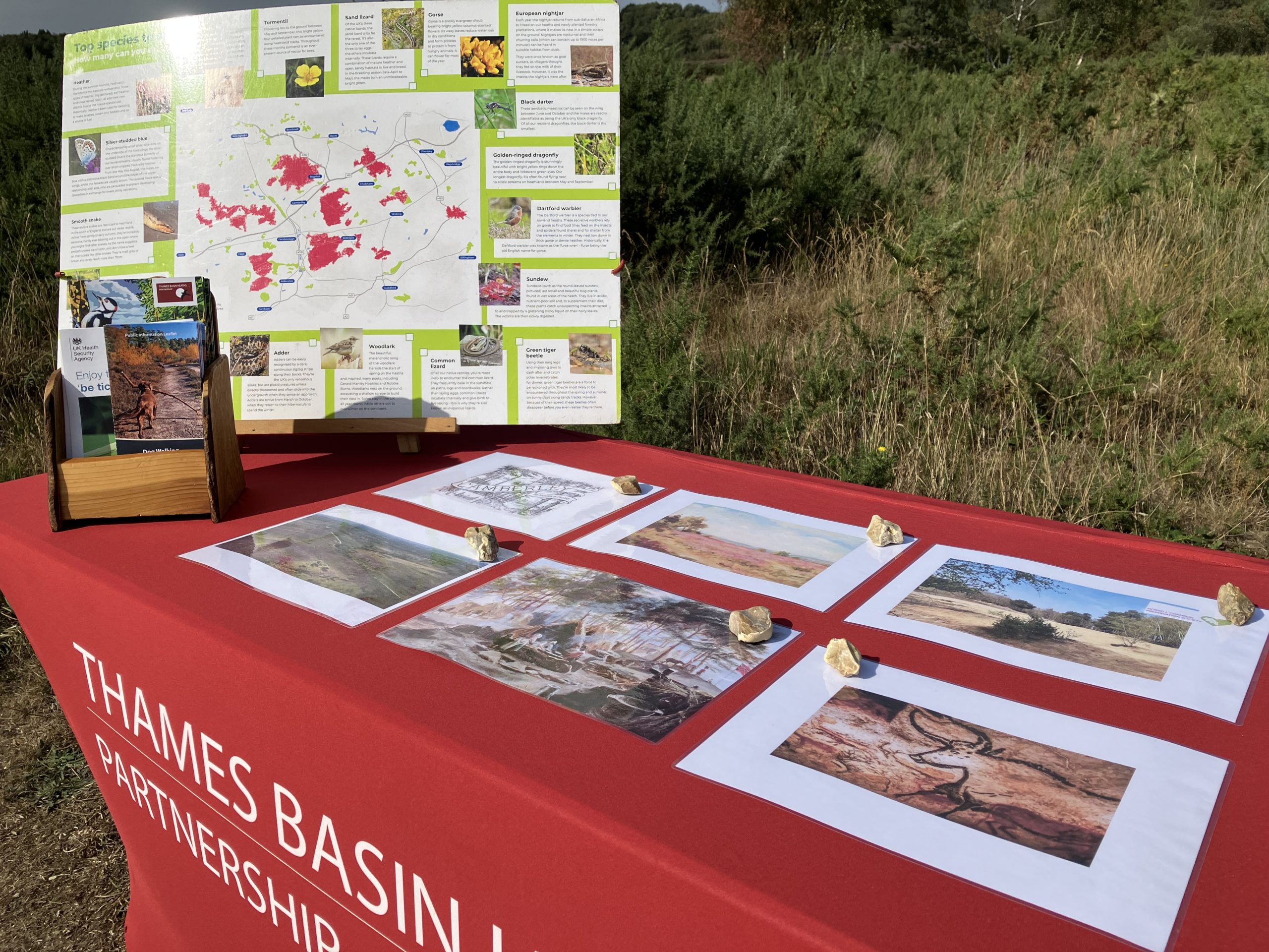 Photo of a table with a Thames Basin Heaths Partnership logo with images of historical features of Chobham, leaflets and a wildlife map