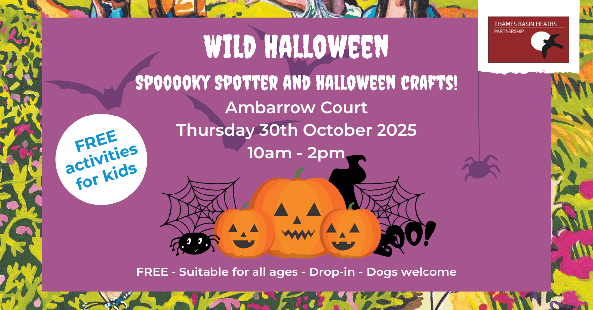 vibrant purple poster containing pumpkins and spiders advertising a Halloween event