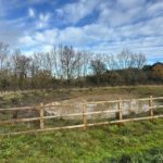 Photo of a newly dug natural pond in a grassland setting. Contained by wooden post and rail fencing