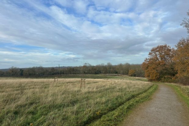 Photo of a surfaced path passing through an open grassland area with autumn trees